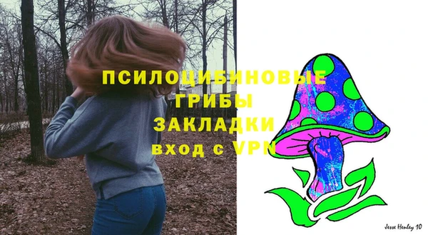 mix Алексеевка