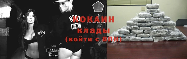 винт Абаза