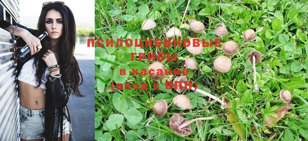 а пвп мука Алексин