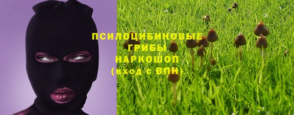 mix Алексеевка