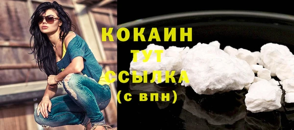 винт Абаза