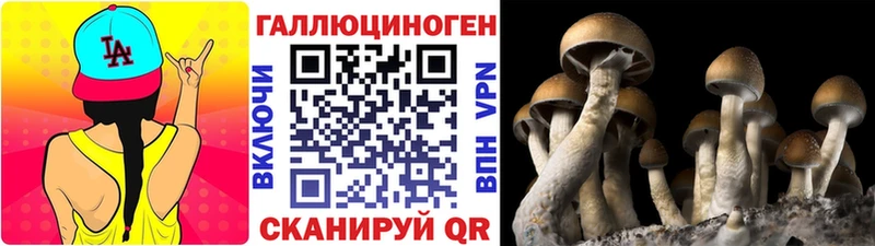 Псилоцибиновые грибы мухоморы  закладки  Кострома 